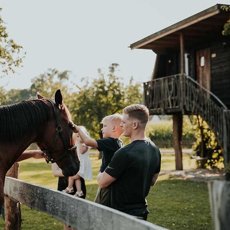 Treehouse Drevesna Hiska Strkovo Gnezdo Ranc Jures Hotel Ljutomer Bagian luar foto