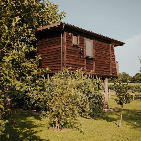 Treehouse Drevesna Hiska Strkovo Gnezdo Ranc Jures Hotel Ljutomer Bagian luar foto