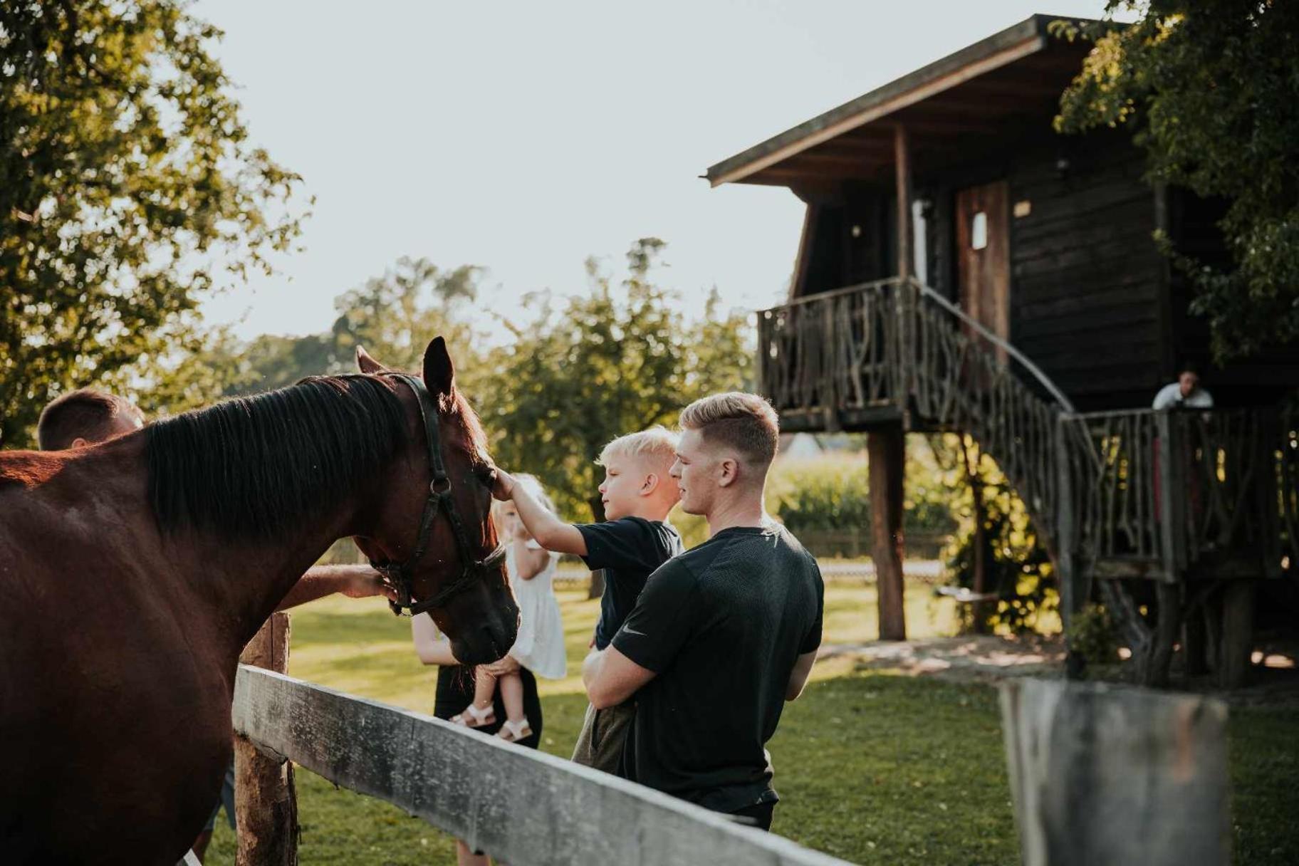 Treehouse Drevesna Hiska Strkovo Gnezdo Ranc Jures Hotel Ljutomer Bagian luar foto