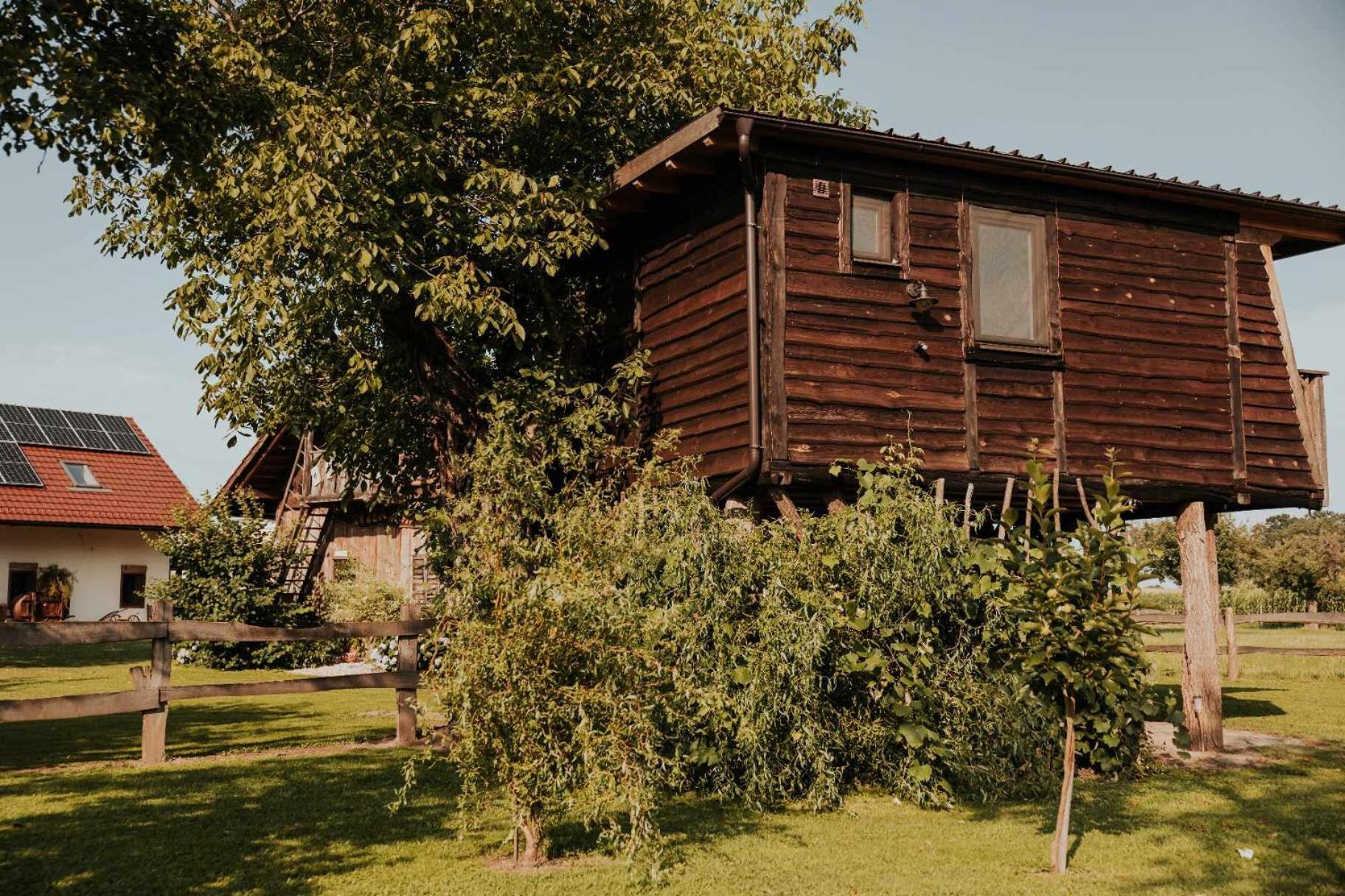 Treehouse Drevesna Hiska Strkovo Gnezdo Ranc Jures Hotel Ljutomer Bagian luar foto