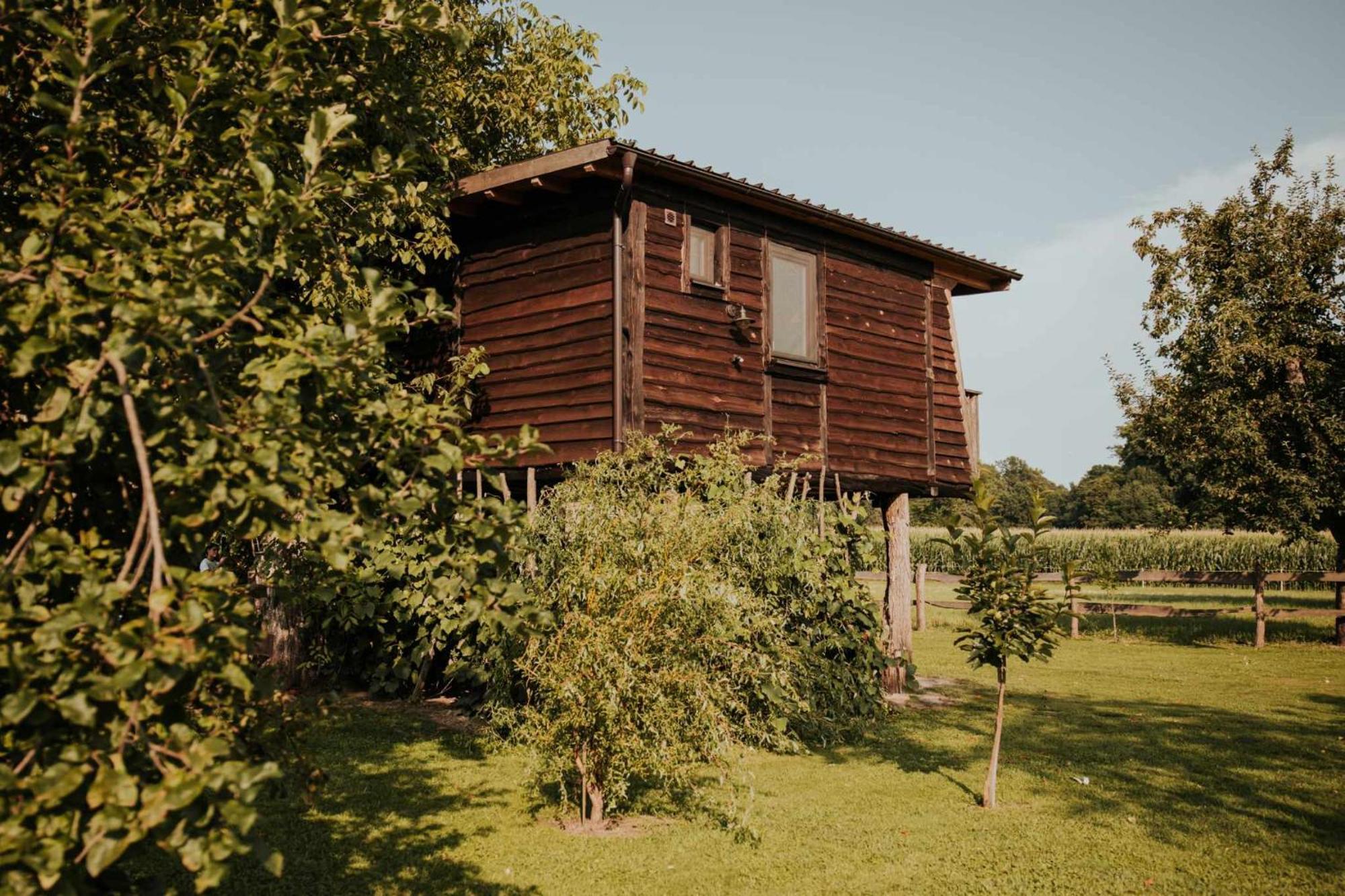 Treehouse Drevesna Hiska Strkovo Gnezdo Ranc Jures Hotel Ljutomer Bagian luar foto